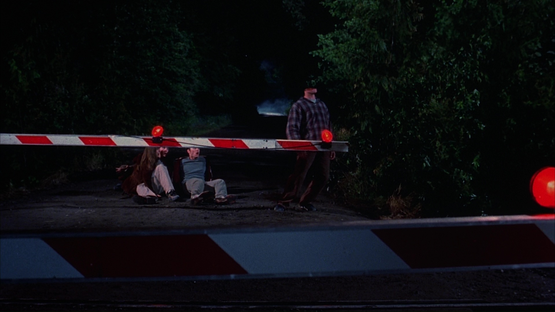 Carter's drive and the railway crossing. Film frame 01241.