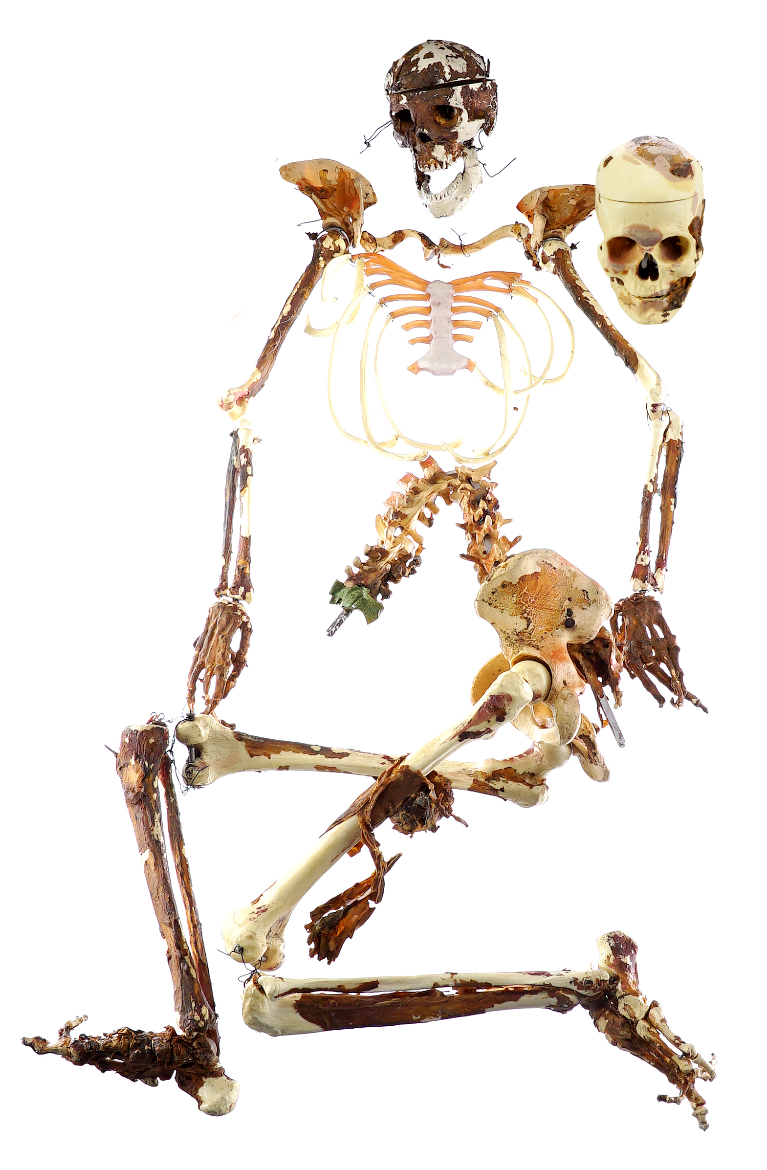 Freddy Krueger's (Robert Englund) Skeleton — photograph 1