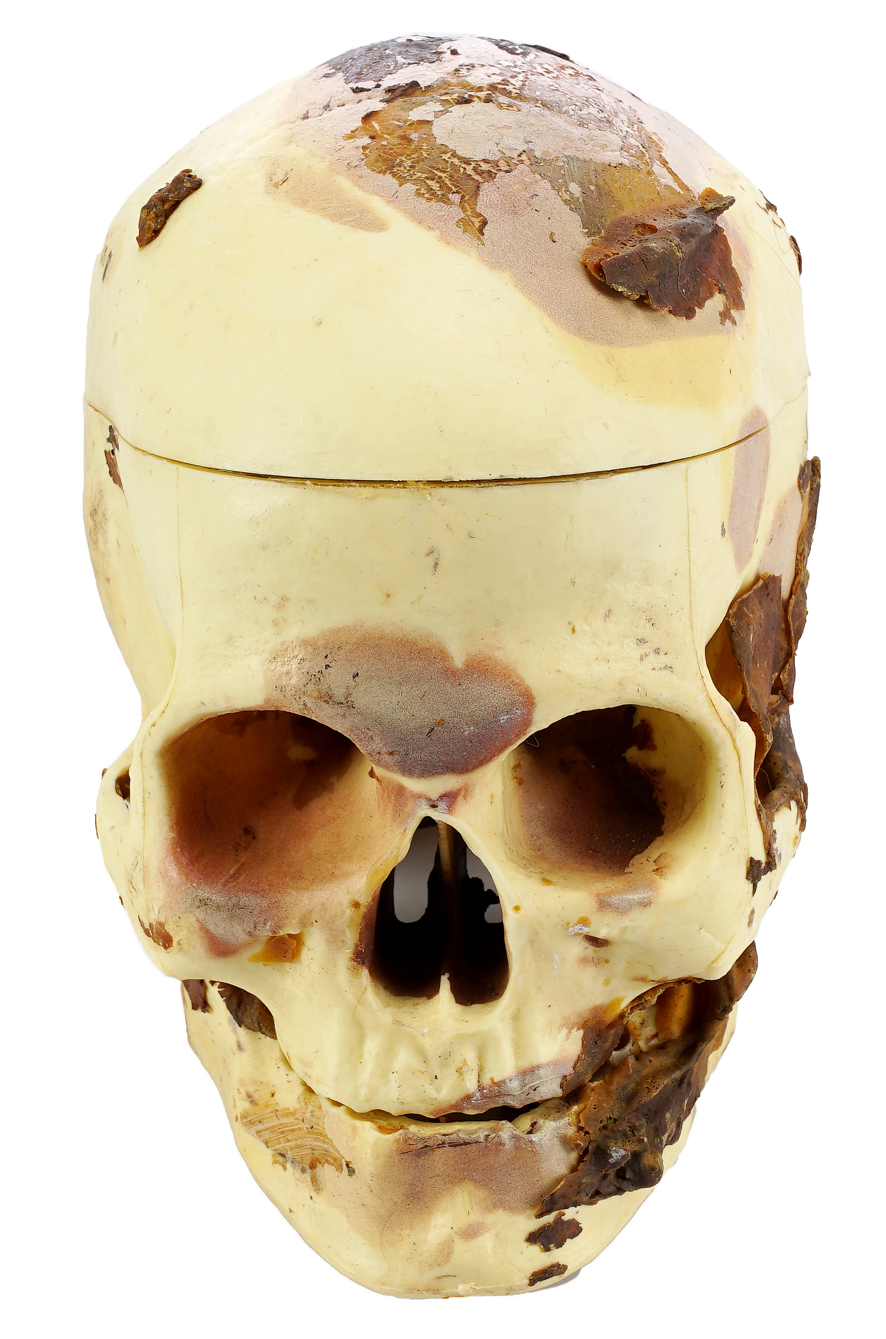 Freddy Krueger's (Robert Englund) Skeleton — photograph 5