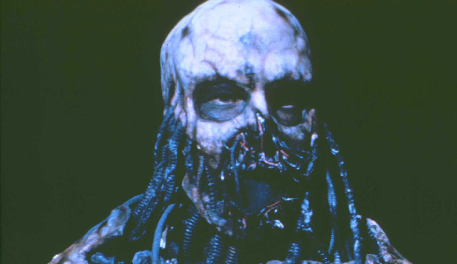 Close view of the mechanical skull head in blue set lighting.