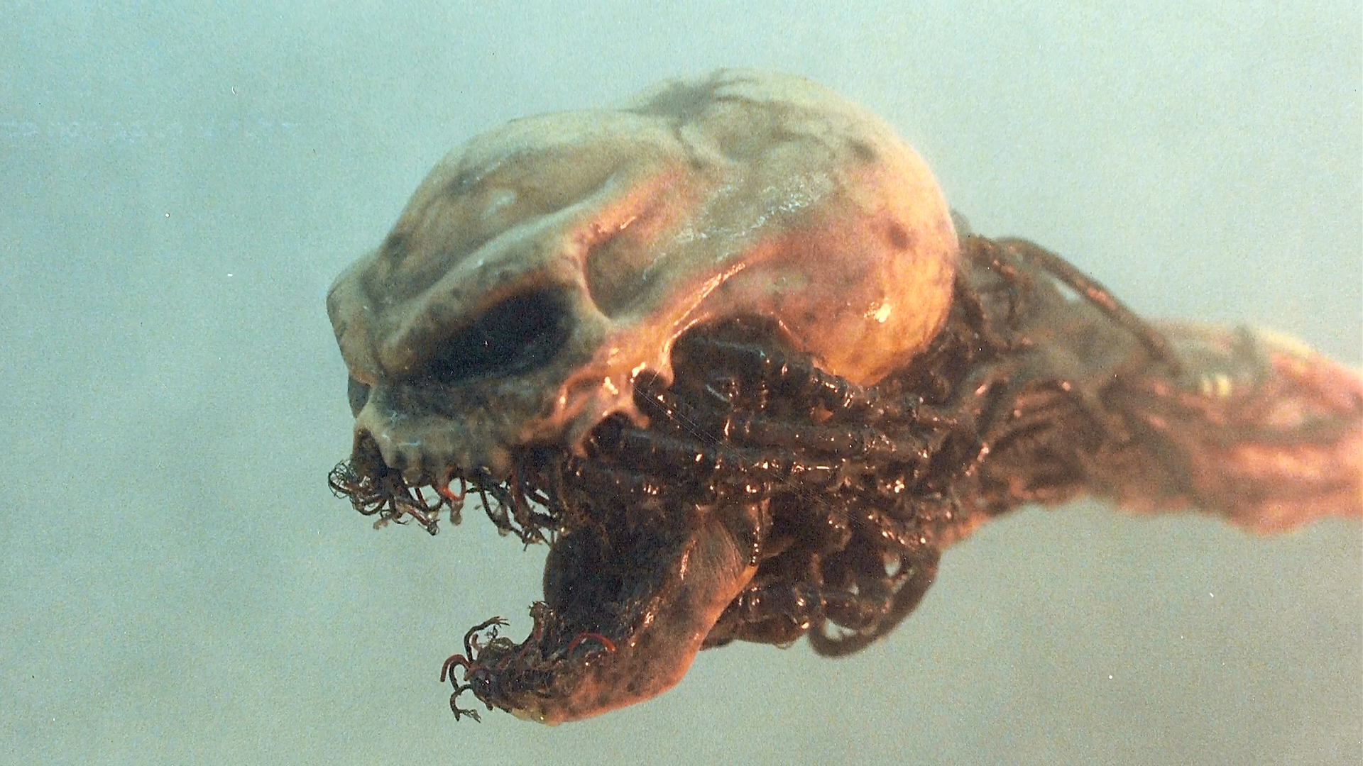 The miniature skull creature in its illuminated finished-effects presentation.