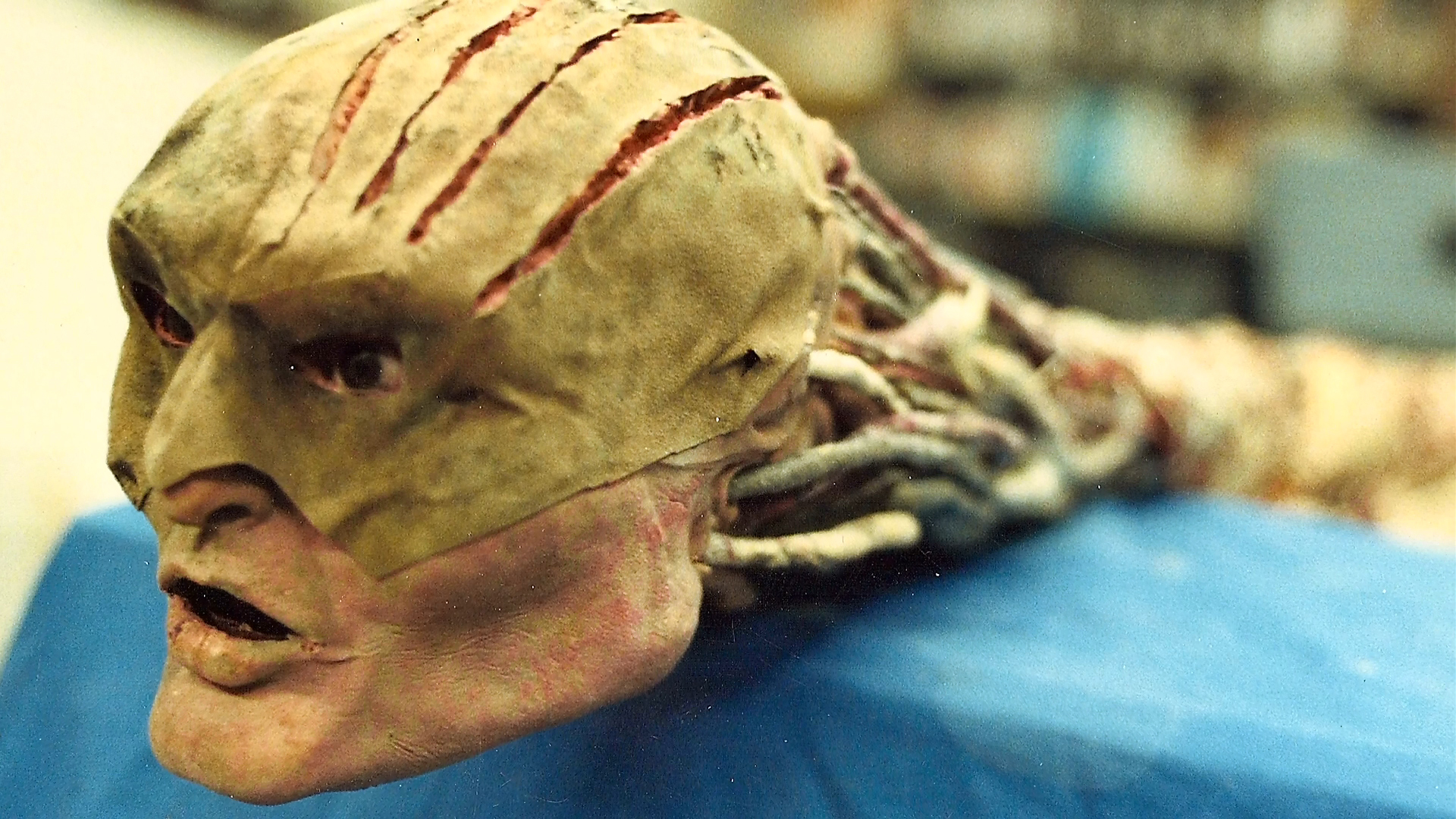 Side view of the miniature Freddy head and tendrils.