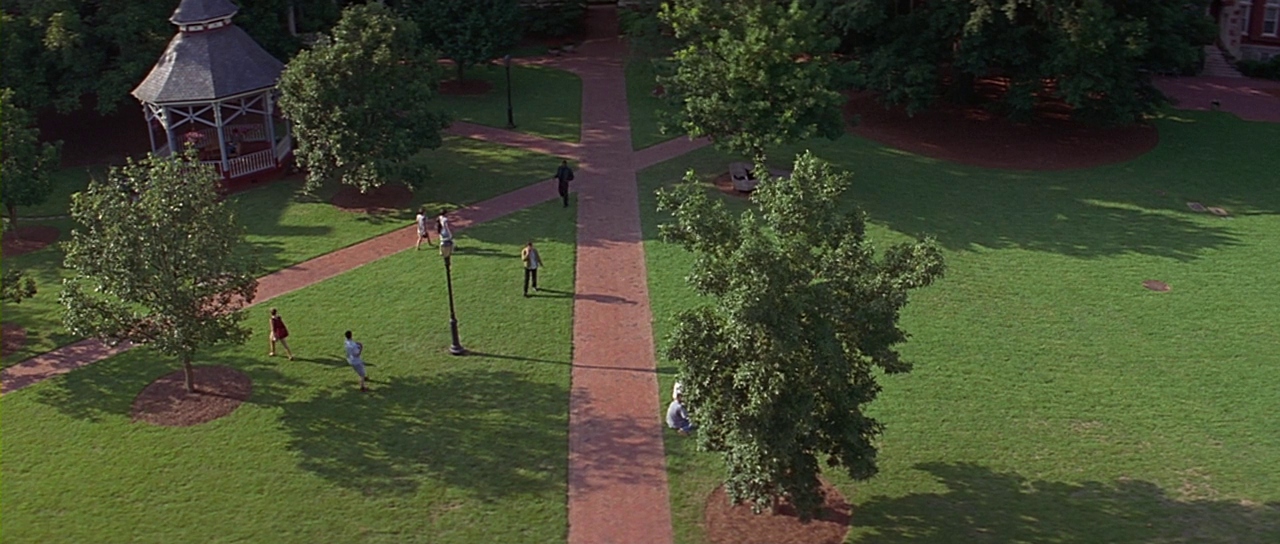 Campus paths seen from above. Film frame.