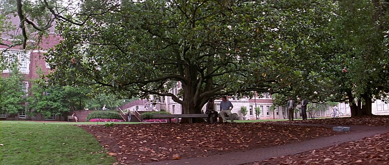 Campus grounds. Film frame.